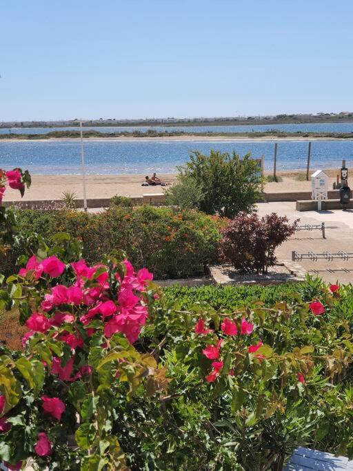 Au Bord De La Plage Du Grazel Gruissan Εξωτερικό φωτογραφία